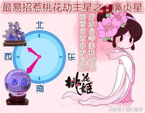 廉貞女|紫微十四主星之廉貞星